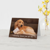 Carte Anniversaire amusant Golden Retriever avec glacièr (Fleur jaune)