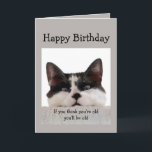 Carte Anniversaire amusant Vieillesse sur la colline, Hu<br><div class="desc">Je t'aime ou tu t'es tu t'es tu t'es tu t'es tu t'es tu t'es tu t'es tu t'il a delusional old fart. Humour de Cat Birthday.</div>