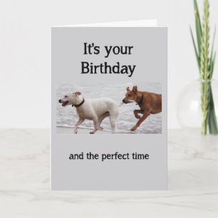 Carte Anniversaire Amusants Chiens Attraper Queue Ne Pas