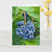 Carte anniversaire aux bleuets (Fleur jaune)