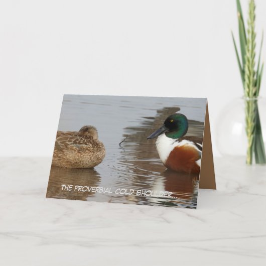 Carte Anniversaire avec canards Shoveler (Devant)
