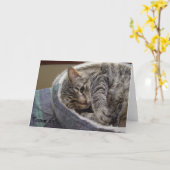 Carte Anniversaire avec chat gris mignon : Venez . (Fleur jaune)