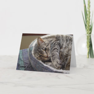 Carte Anniversaire avec chat gris mignon : Venez .