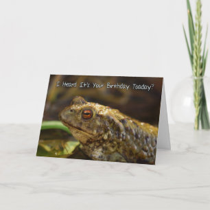 Carte Anniversaire Avec Crapaud Sauvage Jouer Sur