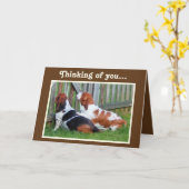 Carte Anniversaire avec Cute Basset Hounds & Cupca (Fleur jaune)
