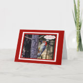 Carte Anniversaire Avec Funny Red Bellied Pic (Devant)