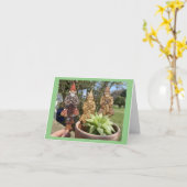 CARTE **ANNIVERSAIRE BATTU** DE SILLY GNOMES (Fleur jaune)