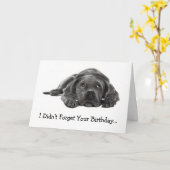 CARTE ANNIVERSAIRE BATTU : N'A PAS OUBLIÉ : TROP FOU, CH (Fleur jaune)