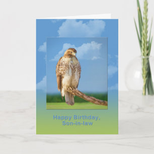 Carte Anniversaire, beau-fils, oiseau à jambes rugueux