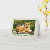 Carte Anniversaire, beau-frère, Lion sur un rocher (Fleur jaune)