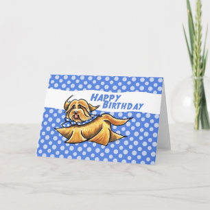 Carte Anniversaire bleu de pois de Havanese