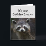 Carte Anniversaire BROTHER Fun Age Humour Triste Raccoon<br><div class="desc">Blasons d'anniversaire pour votre BROTHER Fun Age Vous êtes des ordures pour moi Humoristique Raccoon Animal art</div>
