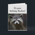 Carte Anniversaire BROTHER Fun Age Humour Triste Raccoon<br><div class="desc">Blasons d'anniversaire pour votre BROTHER Fun Age Vous êtes des ordures pour moi Humoristique déprimé Raccoon Animal art</div>