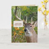 Carte Anniversaire Buck In Woods (Fleur jaune)