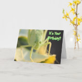 Carte Anniversaire—"Bug You" Funny Carte Anniversa (Fleur jaune)
