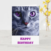 Carte Anniversaire : Carte Chat Anniversaire (Fleur jaune)