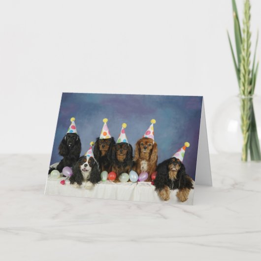 Carte Anniversaire Cav-tastic (Devant)