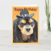 Carte Anniversaire Cavalier King Charles Spaniel Cow-boy (Devant)