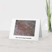 Carte Anniversaire Caveman (Dos)