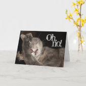 Carte Anniversaire, Chat (Fleur jaune)