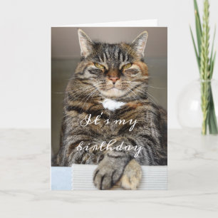 Carte Anniversaire Chat Drôle Tabby Grumpy Green Eyes Sq
