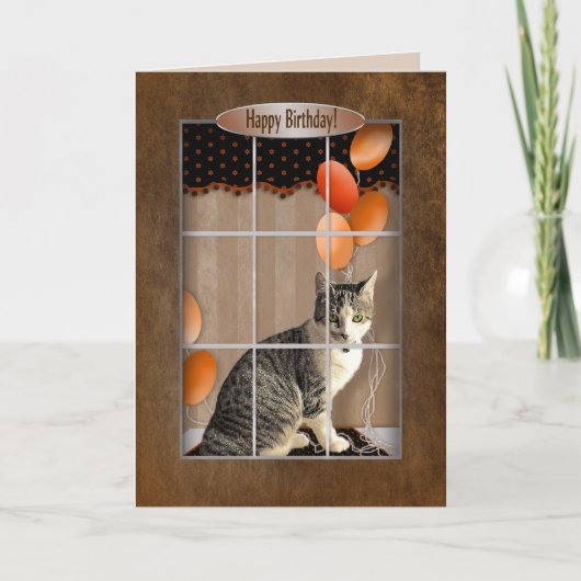 Carte Anniversaire - Chat regarde par la fenêtre - Ballo (Devant)