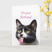 Carte Anniversaire Chat Sticking out Langue Drôle Humour (Fleur jaune)