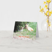 Carte Anniversaire, chats et gâteaux (Fleur jaune)