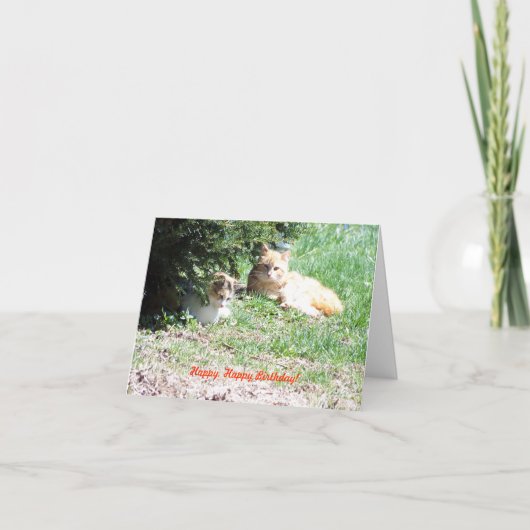 Carte Anniversaire, chats et gâteaux (Devant)
