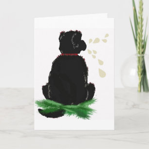 Carte anniversaire~ Chien de Terre-Neuve