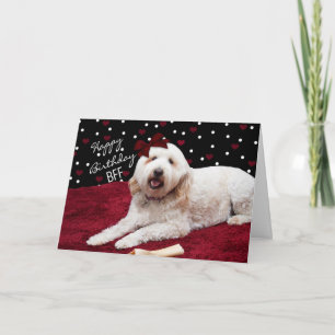 CARTE ANNIVERSAIRE - CHIEN DOODLE EN OR