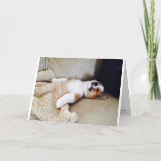 Carte Anniversaire - Chiot Corgi couché