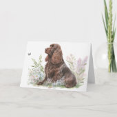 Carte Anniversaire Chocolate Cocker Spaniel (Devant)