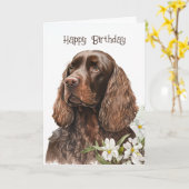 Carte Anniversaire Chocolate Cocker Spaniel (Fleur jaune)
