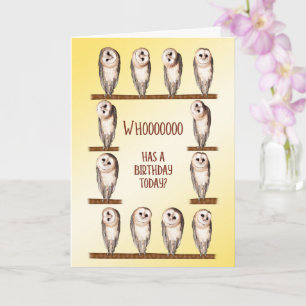 Carte Anniversaire, Chouettes Curieuses
