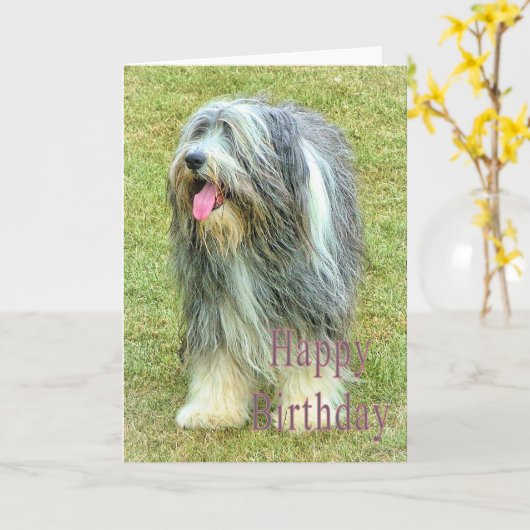 Carte Anniversaire Collie (Fleur jaune)