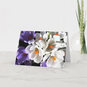 Carte Anniversaire-Crocus heureux