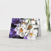 Carte Anniversaire-Crocus heureux (Devant)