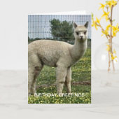 Carte Anniversaire d'Alpaca (Fleur jaune)