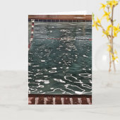 Carte Anniversaire d'ami de perdant (Fleur jaune)