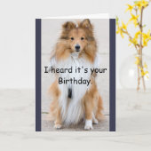 Carte Anniversaire d'années de chien joyeux (Fleur jaune)