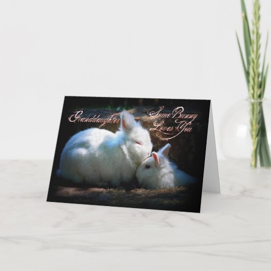 Carte Anniversaire de baiser de lapins de petite-fille (Devant)