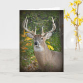 Carte Anniversaire de Big Buck (Fleur jaune)