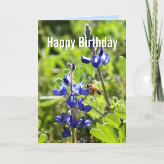 Carte Anniversaire de Bluebonnet de Texas joyeux (Devant)