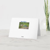 Carte Anniversaire de boîte (Dos)