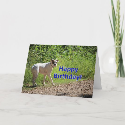 Carte Anniversaire de boîte (Devant)