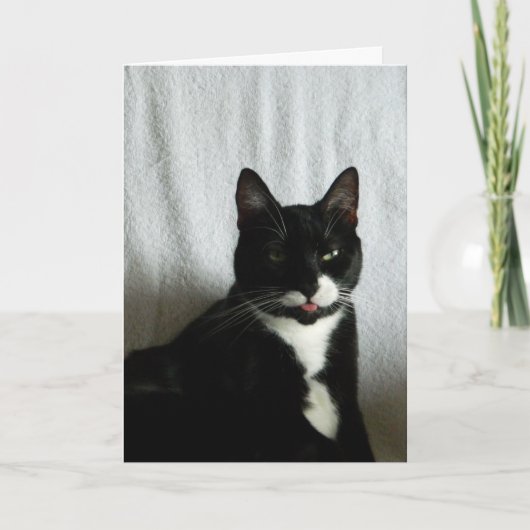 Carte Anniversaire de Brat Cat Razzberry (Devant)