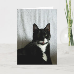 Carte Anniversaire de Brat Cat Razzberry