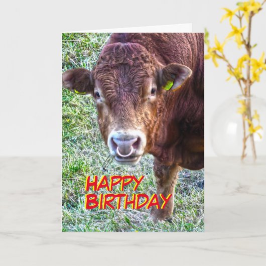 Carte Anniversaire de Bull (Fleur jaune)