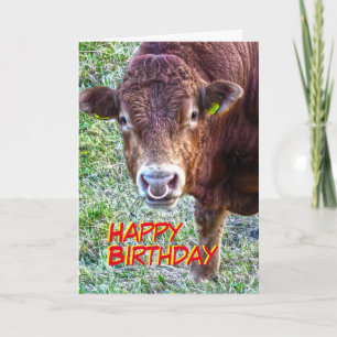 Carte Anniversaire de Bull
